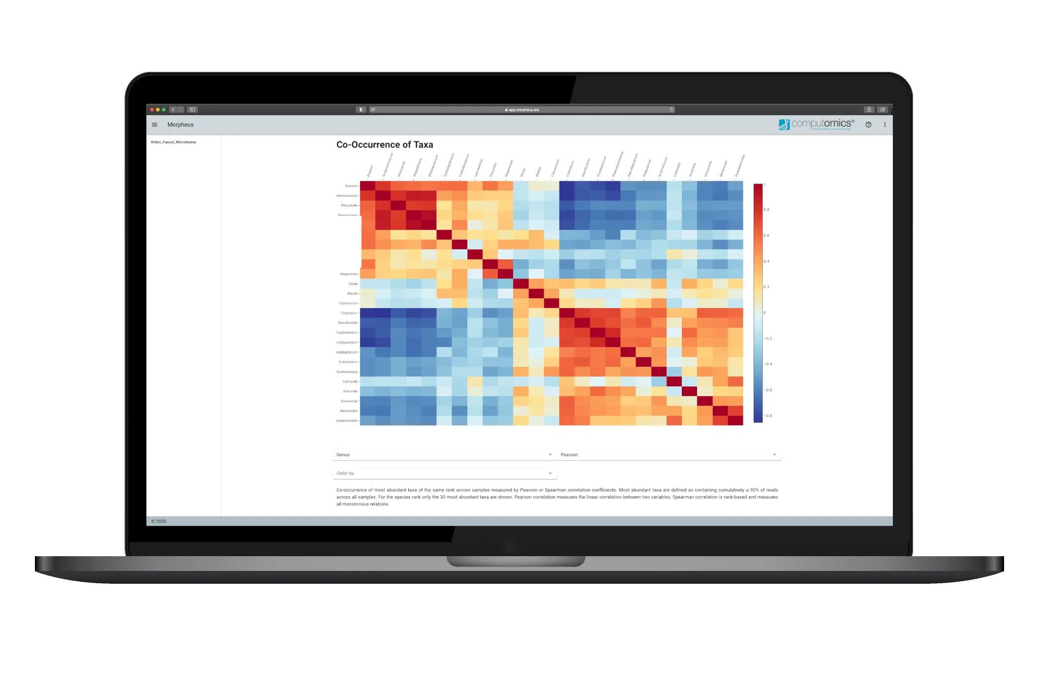 MORPHEUS screenshot: co-occurrence of data