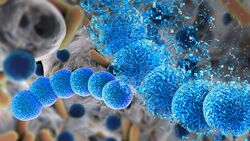 bacteria header