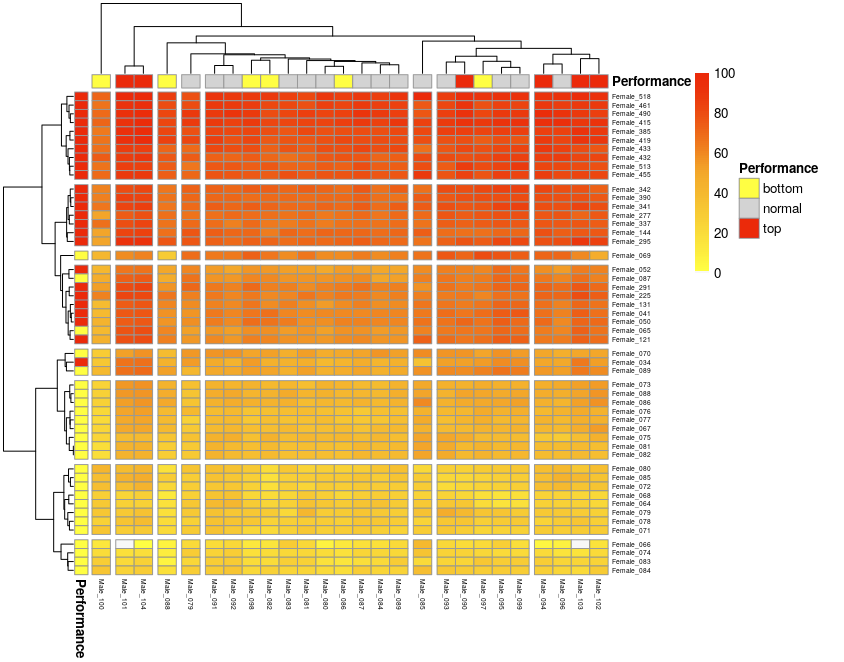visualization of possible hybrids from a bi-parental population
