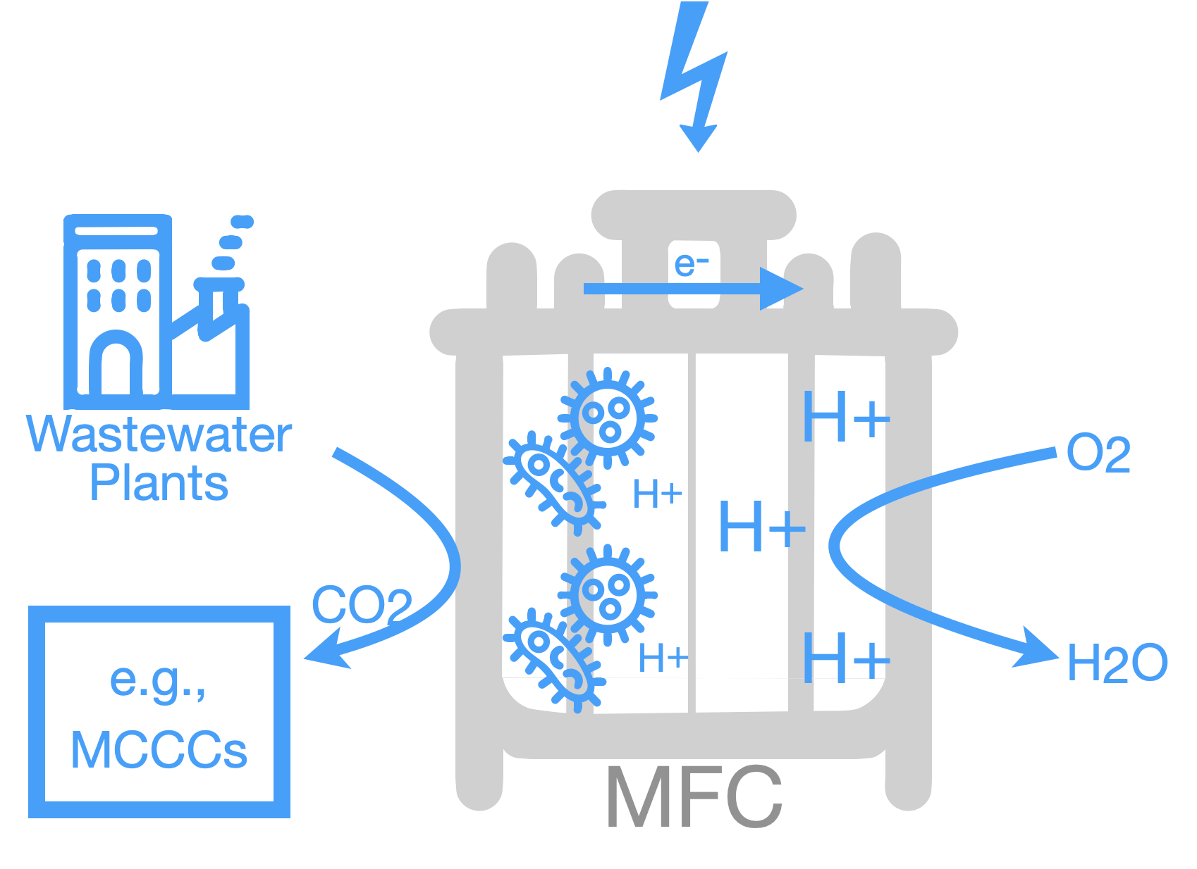 Microbial Fuel Cells