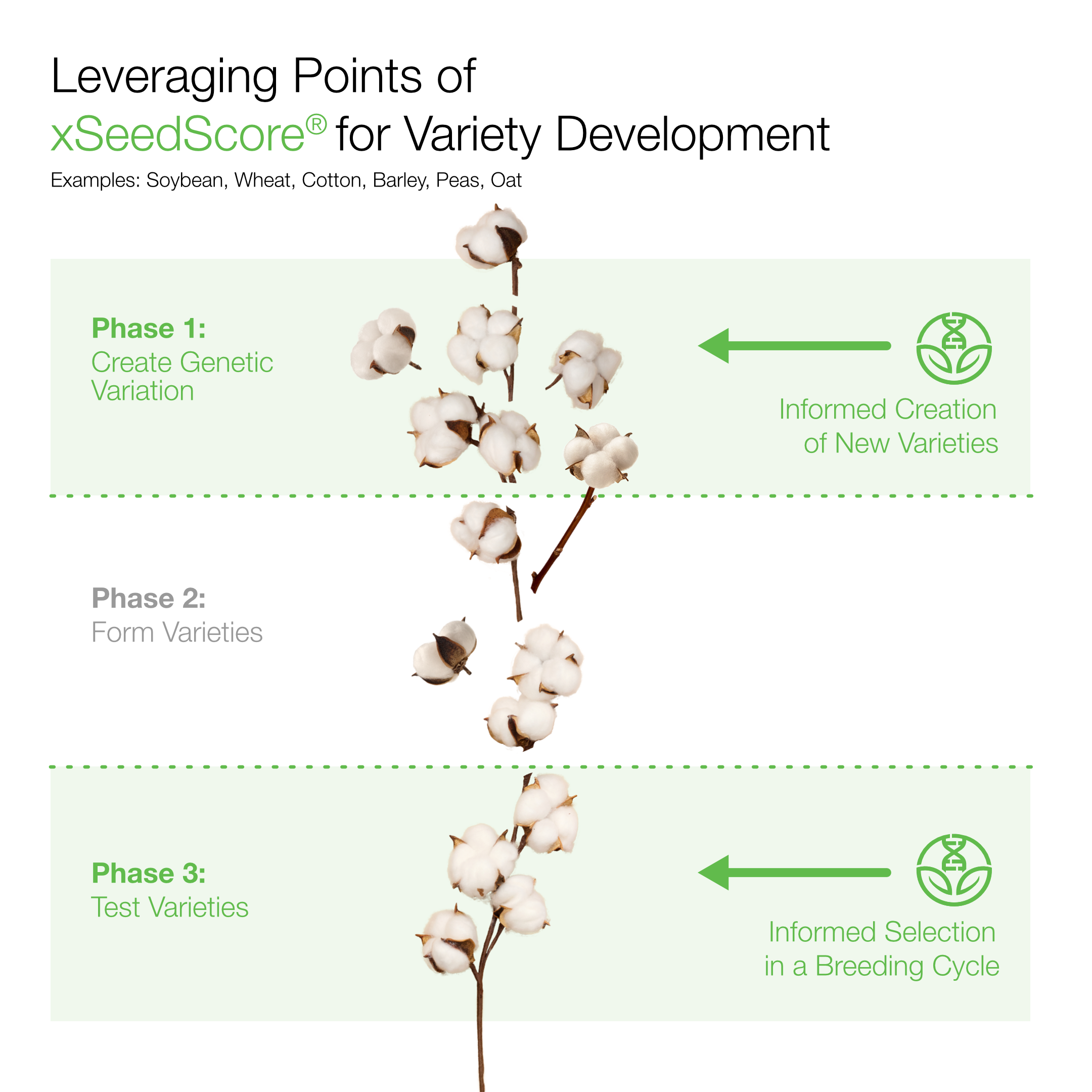 Variety Development