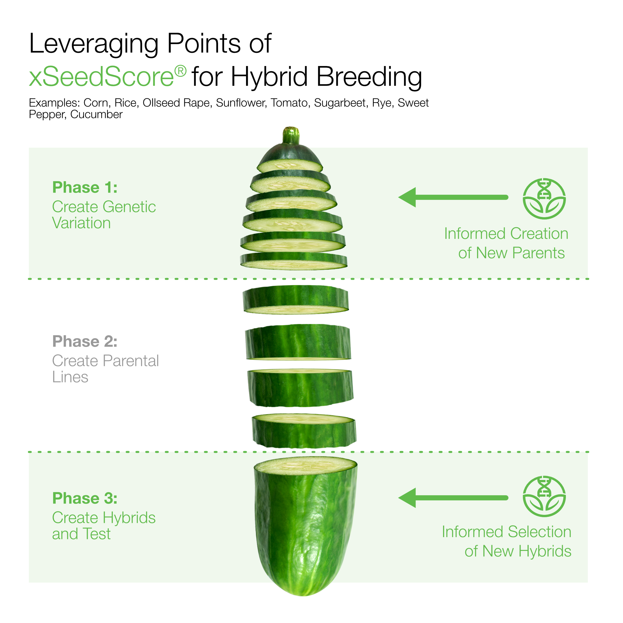 Hybrid Breeding
